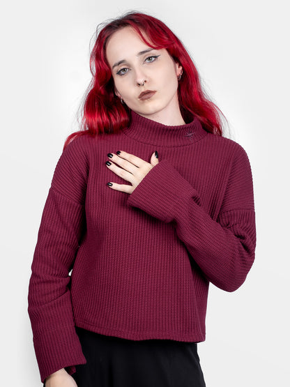 Astrid Burgundy Turtleneck 