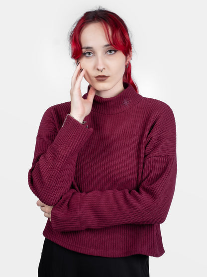 Astrid Burgundy Turtleneck 